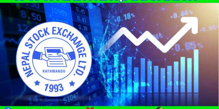 नेप्सेमा लगातार सुधार