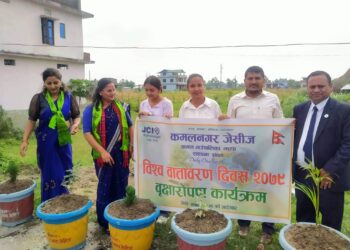 कमलनगर जेसीजद्वारा विश्व वातावरण दिवसको अवसरमा वृक्षारोपण कार्यक्रम सम्पन्न