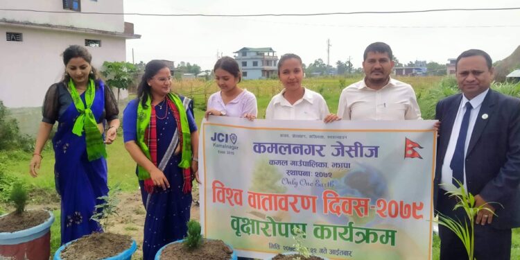 कमलनगर जेसीजद्वारा विश्व वातावरण दिवसको अवसरमा वृक्षारोपण कार्यक्रम सम्पन्न