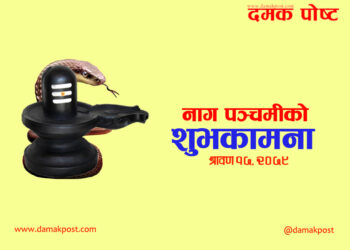 आज नागपञ्चमी पर्व, नागको पूजा अर्चना गरिंदै