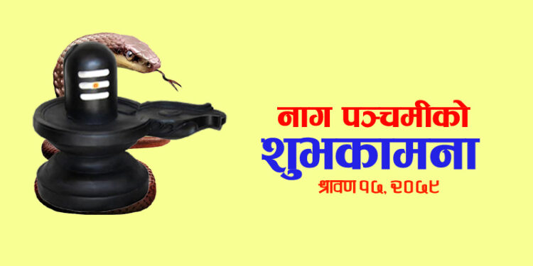 आज नागपञ्चमी पर्व, नागको पूजा अर्चना गरिंदै