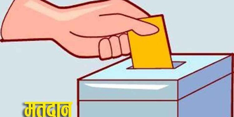 प्रतिनिधिसभा र प्रदेशसभा सदस्य निर्वाचनका लागि मतदान सुरु