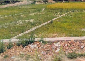 जग्गाको कित्ताकाट खुल्यो