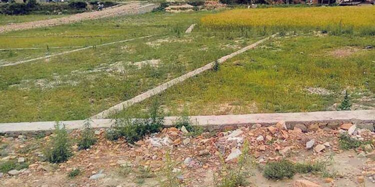 जग्गाको कित्ताकाट खुल्यो