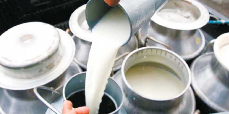 दूधको उत्पादन बढाउन माग