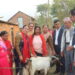 व्यावसायीकतामा जोड दिन बाख्रा उपहार