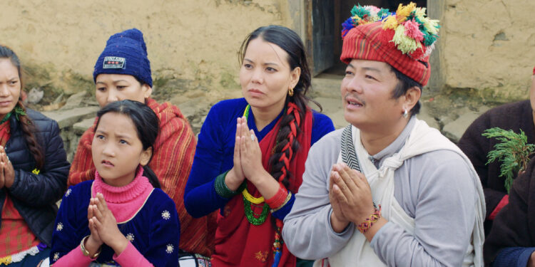 ‘नीरफूल’को टेलर सार्वजनिक