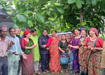 गौरादहमा सामुहिक धानरोपण कार्यक्रम सम्पन्न