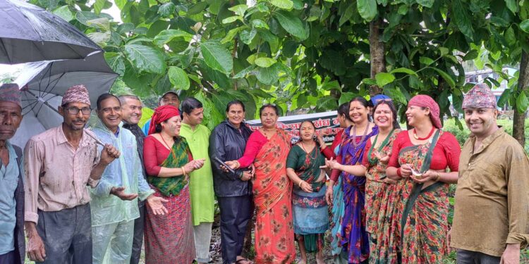 गौरादहमा सामुहिक धानरोपण कार्यक्रम सम्पन्न