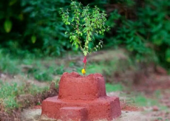 आज हरिशयनी एकादशी पर्व