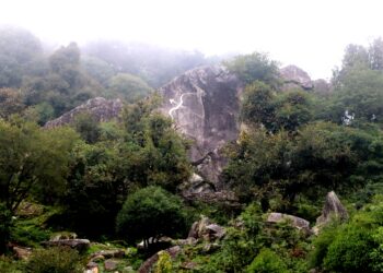 पाँचधारे पोखरी र किरातेश्वर ढुङ्गे बगैँचाको संरक्षण गरिँदै