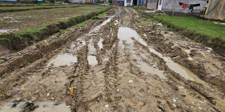 सडकको दुरावस्था