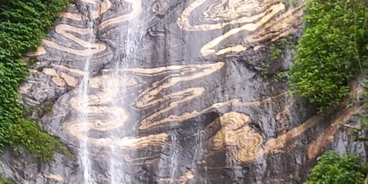 नागछाँगाको प्रवर्द्धन गर्न मेला लगाइने