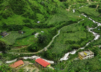 हावाहुरीले मकै बाली नष्ट