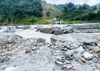 बाढीले अस्थायी पुल र सडकमा क्षति