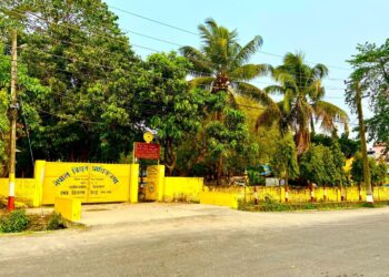 दमकमा आज ६ घण्टा विद्युत् आपूर्ति बन्द हुने