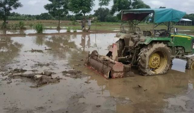कमलमा ट्याक्टर र थेसरको मूल्य निर्धारण