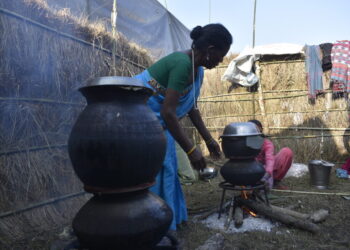 चिचर र घोगी घरबासका पहिचान