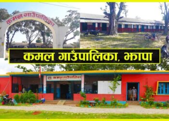 कमल गाउँपालिकाले सन्थालहरुको सोहराय पर्वमा दियो स्थानीय विदा