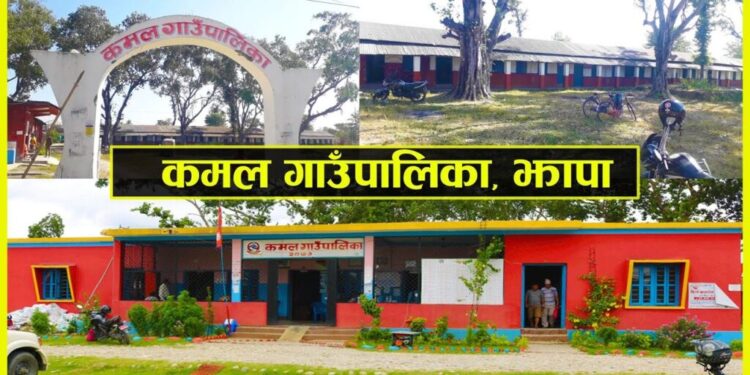 कमल गाउँपालिकाले सन्थालहरुको सोहराय पर्वमा दियो स्थानीय विदा