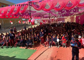 द्वन्द्वपीडित विद्यार्थीको छहारी ‘सहिद विद्यालय’