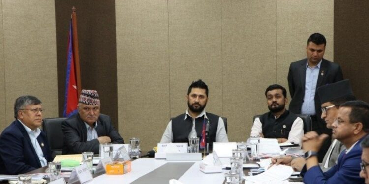 यो बर्ष हुने मनसुनमा १८ लाख १ हजार मानिसहरु  प्रभावित हुनसक्ने अनुमान  ।