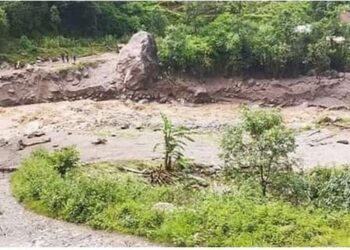 पैरोले एकै परिवारको ४ जनाको ज्यान लियो ।