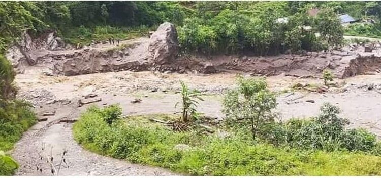 पैरोले एकै परिवारको ४ जनाको ज्यान लियो ।