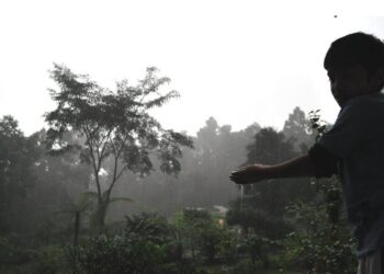 मौषम बिज्ञान बिभागका अनुसार देशभर मनसुन सक्रिय  सचेत रहनुपर्ने  ।