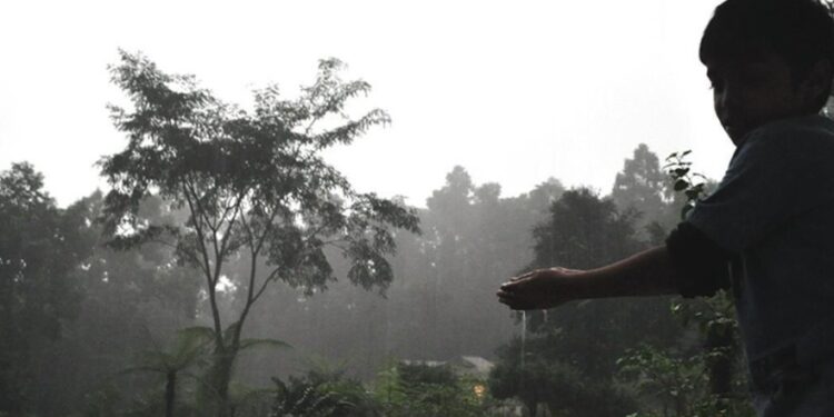 मौषम बिज्ञान बिभागका अनुसार देशभर मनसुन सक्रिय  सचेत रहनुपर्ने  ।