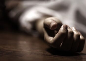 बिर्ताबजारमा म्याजिक गाडिले ठक्कर दिँदा भारतीय नागरिकको मृत्यु  ।