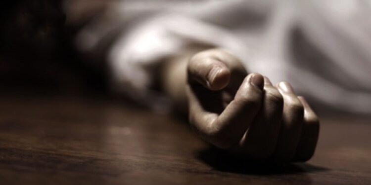 बिर्ताबजारमा म्याजिक गाडिले ठक्कर दिँदा भारतीय नागरिकको मृत्यु  ।