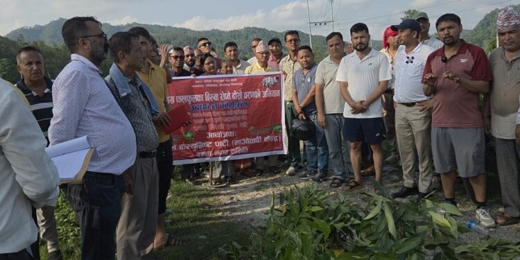 ‘ग्रीन दमक, क्लिन दमक’ अभियान अन्तर्गत  माओवादीको दोश्रो चरणको वृक्षरोपण अभियान ।