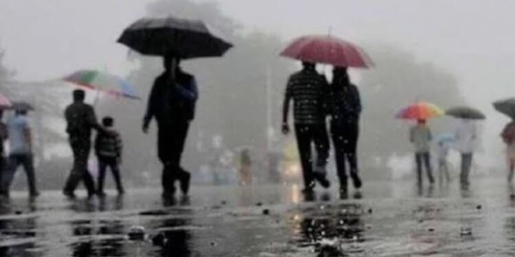 भोलि र पर्सि सार्वजनिक बिदा ।।